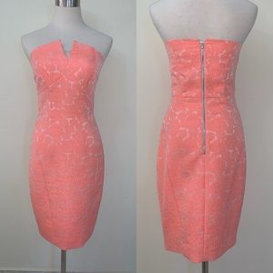 Worn Once Strapless Fitted Dress